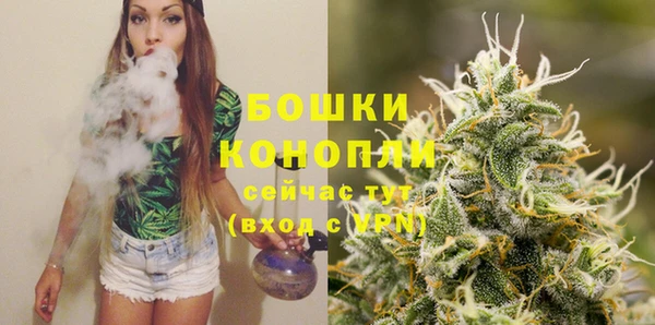МДПВ Богородицк