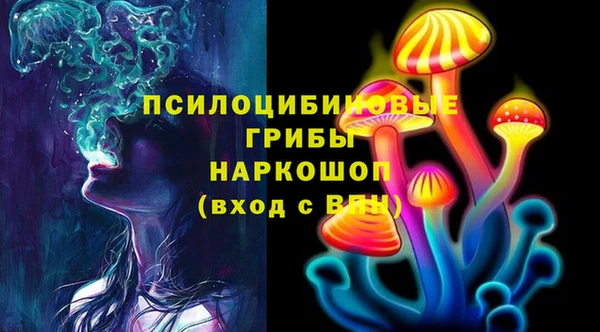 МДПВ Богородицк