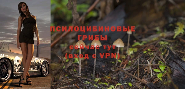 метадон Богородск