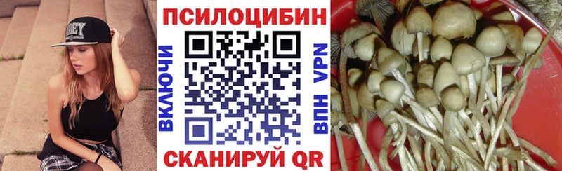 Галлюциногенные грибы прущие грибы  хочу   Вязники 